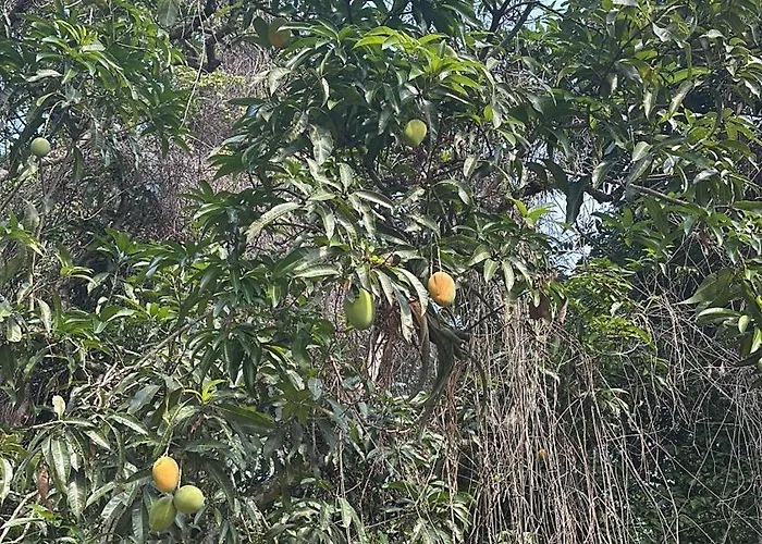 Casa Campestre En Anapoima