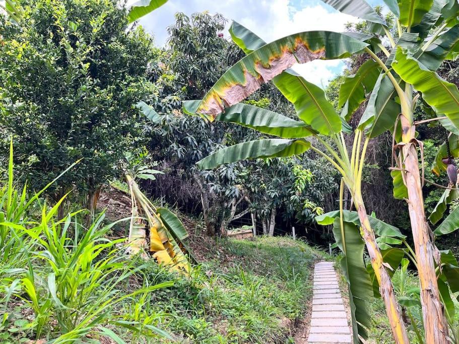 Holiday home Casa Campestre En